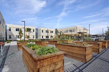 Outdoor garden boxes